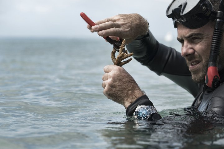 Initiatives promoted by Oris usually result in watches inspired by the cause they support, such as the Aquis Great Barrier Reef Limited Edition III, inspired by the partnership with the Reef Restoration Foundation in Australia. 